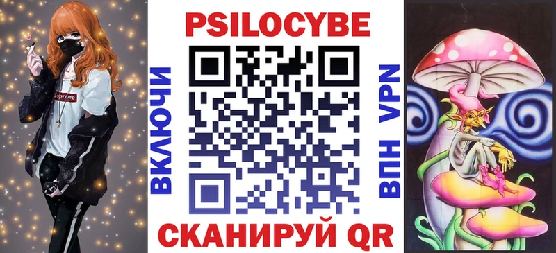 Купить где  Завитинск  Галлюциногенные грибы Psilocybine cubensis 